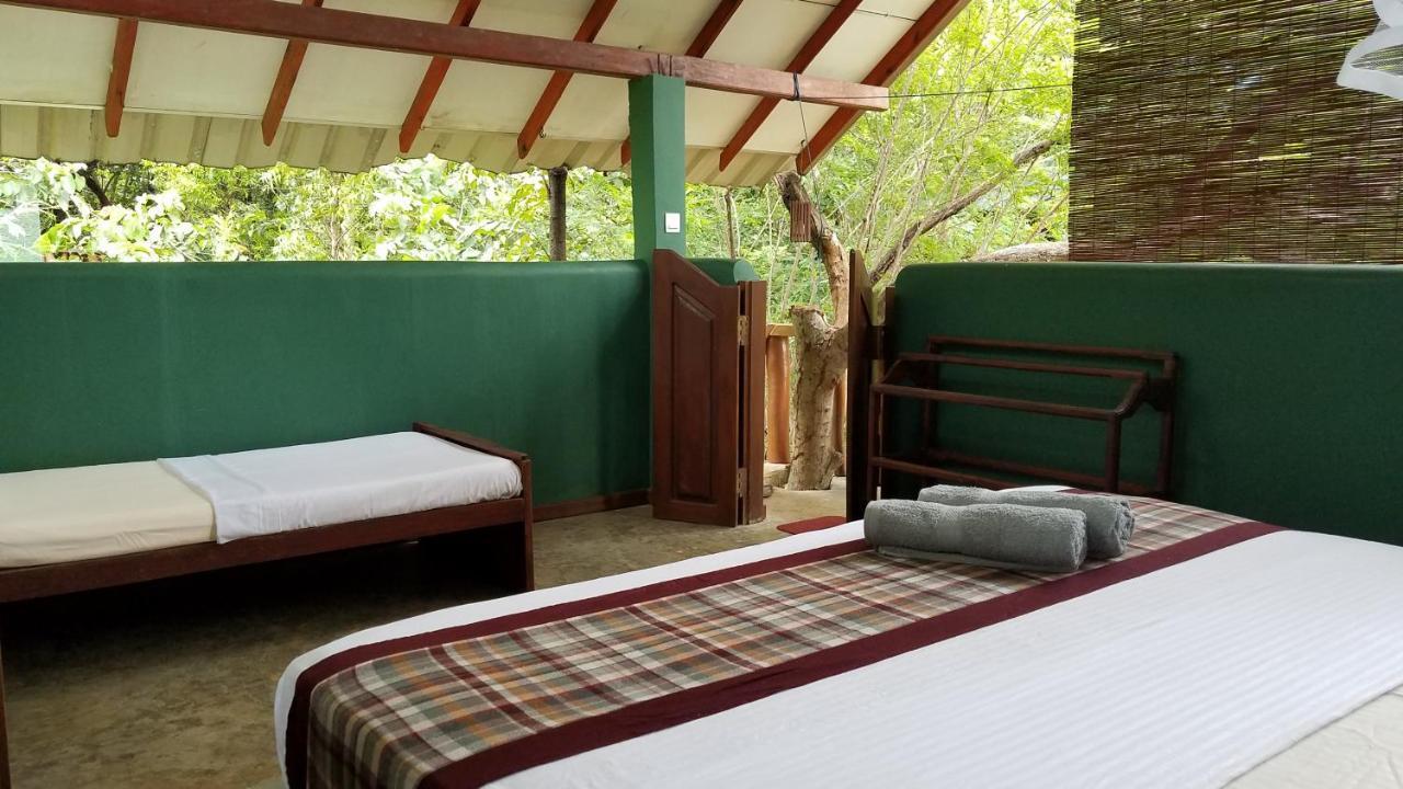 Sigiri Holiday Villa 锡吉里亚 外观 照片