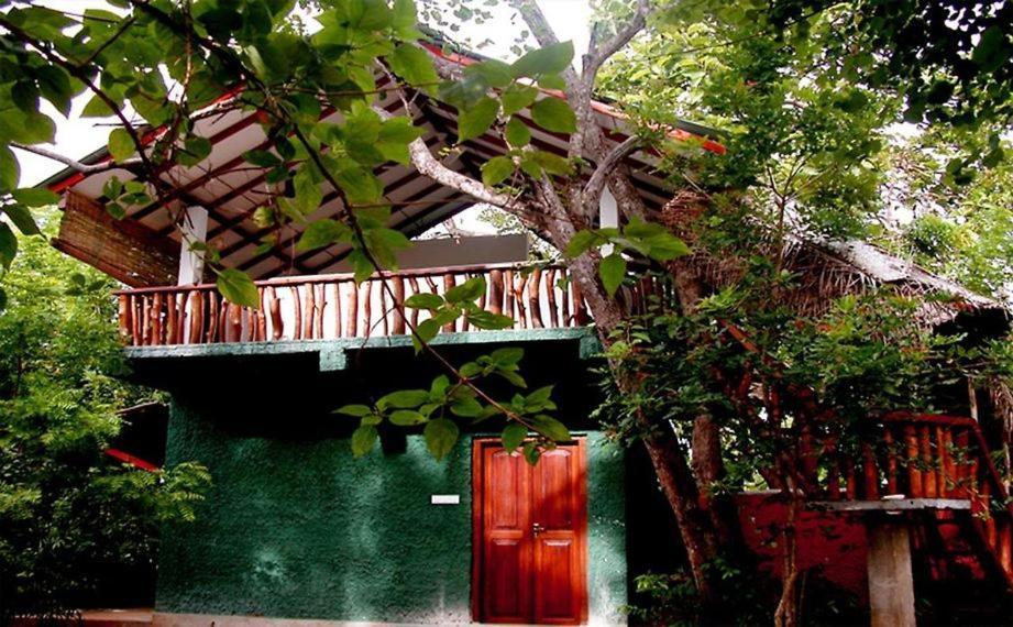 Sigiri Holiday Villa 锡吉里亚 外观 照片
