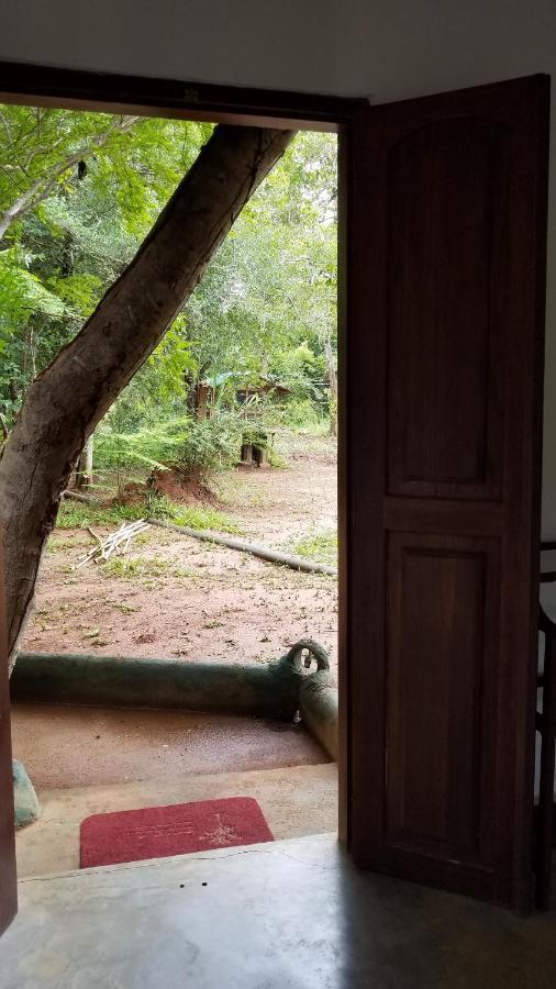 Sigiri Holiday Villa 锡吉里亚 外观 照片