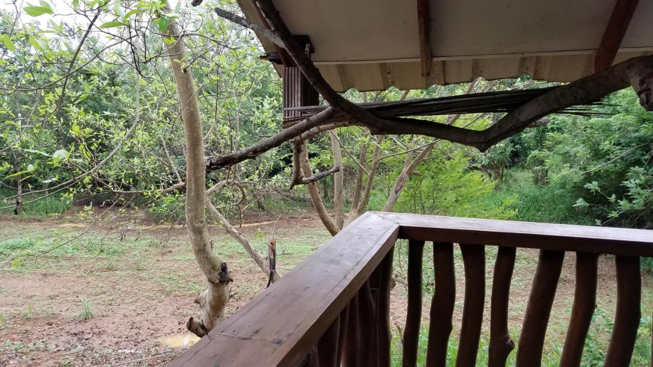 Sigiri Holiday Villa 锡吉里亚 外观 照片