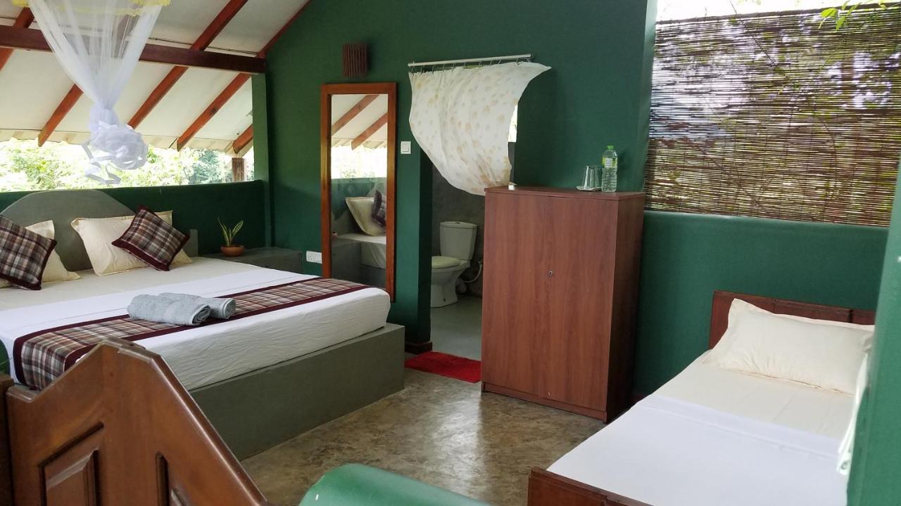 Sigiri Holiday Villa 锡吉里亚 外观 照片