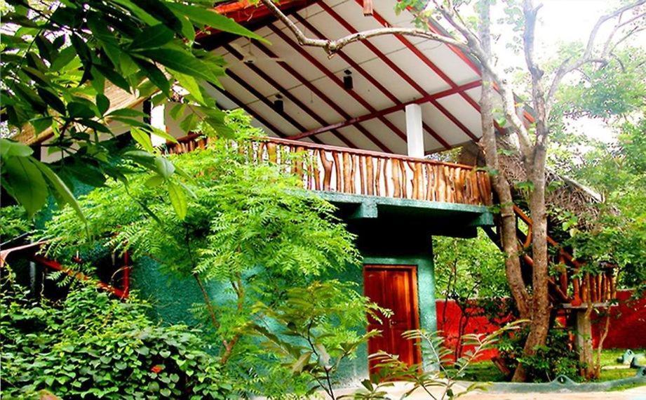 Sigiri Holiday Villa 锡吉里亚 外观 照片