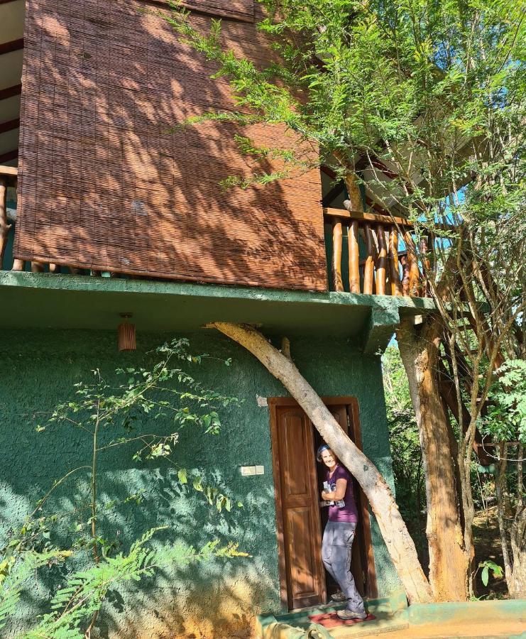 Sigiri Holiday Villa 锡吉里亚 外观 照片