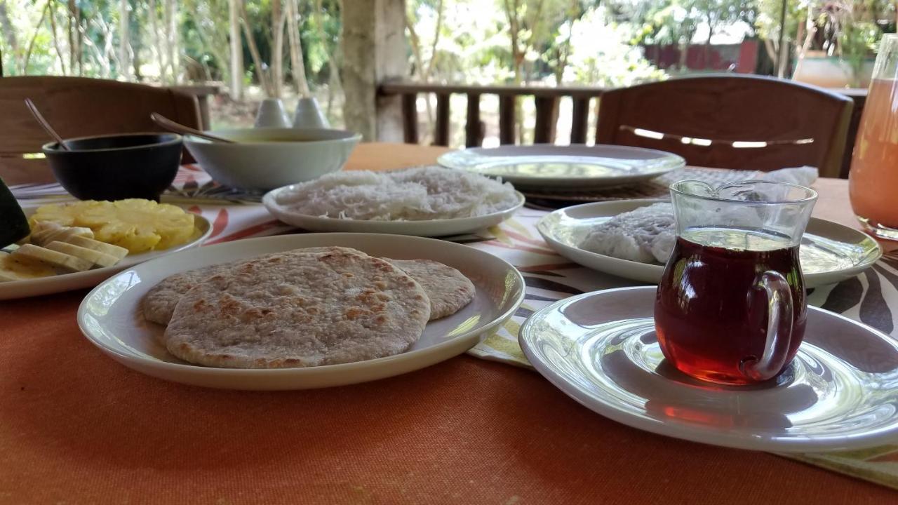 Sigiri Holiday Villa 锡吉里亚 外观 照片